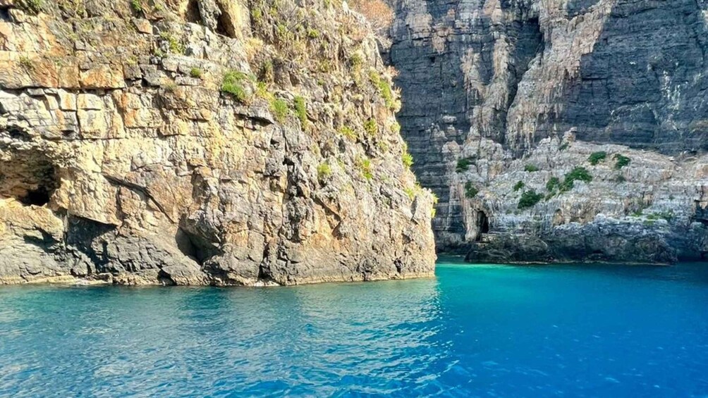 Picture 5 for Activity Camerota: Boat tour exploring Baia Infreschi