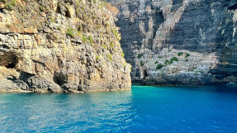 Picture 5 for Activity Camerota: Boat tour exploring Baia Infreschi