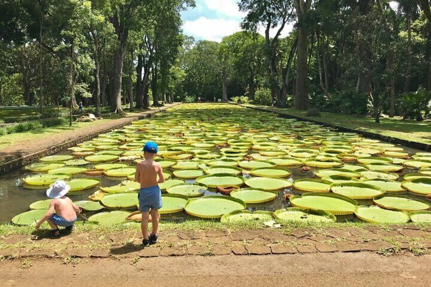 The North with Odysseo Aquarium, Botanical Garden and Lunch