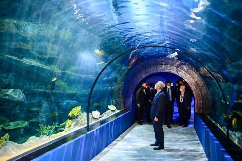 The North with Odysseo Aquarium, Botanical Garden and Lunch