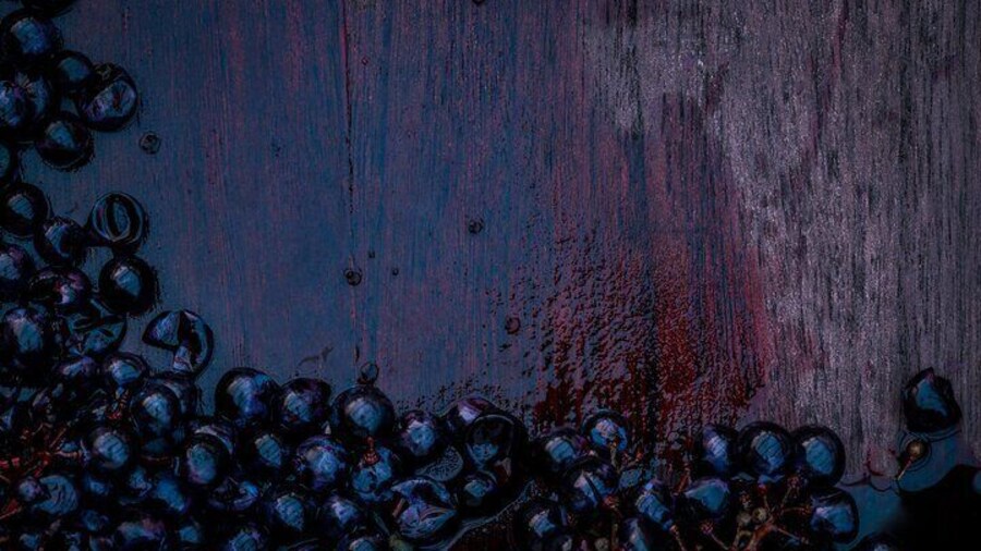 Willamette Wine Tasting Tour from Newberg