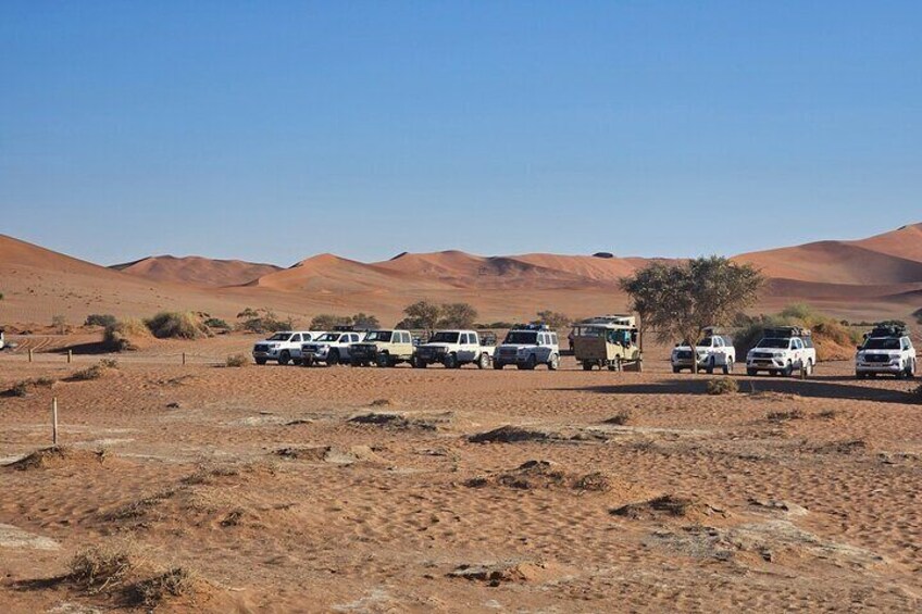 From Johannesburg: 6 Days Namibia Tour