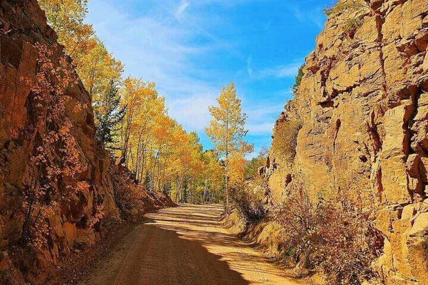 Half Day Private Sightseeing Jeep Tour in Colorado with Pickup