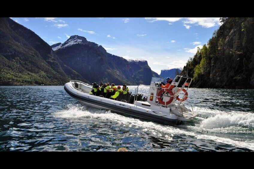 Private Day Tour to Flåm, incl RIB Sognefjord Safari Flåm Railway