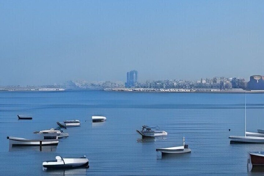 Alexandria Private Day Tour from Cairo