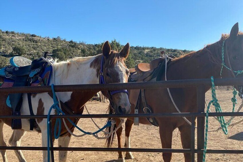 Horseback Ride Just 2 Miles from the Edge of the Grand Canyon