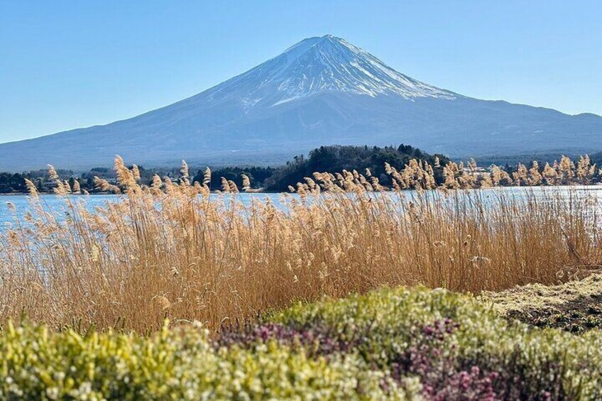 Mount Fuji and Hakone 10hr Private Customized English Guided Tour