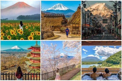 Mount Fuji & Hakone Private Customised Sightseeing English Trip