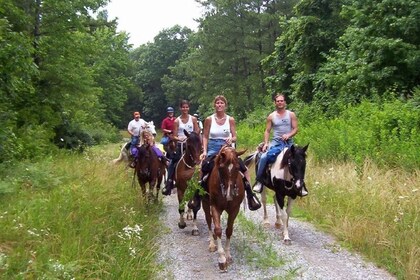 Kemer Horse Safari, Abholung von Kiris, Beldibi, Goynuk