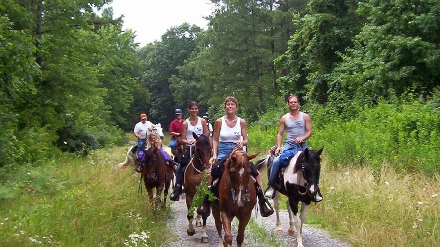 Kemer Horse Safari, pick up from Kiris, Beldibi, Goynuk