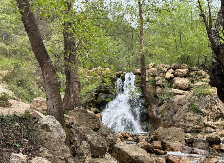 Picture 17 for Activity From Alanya: Taurus Splash & Panaroma Safari w/ Lunch
