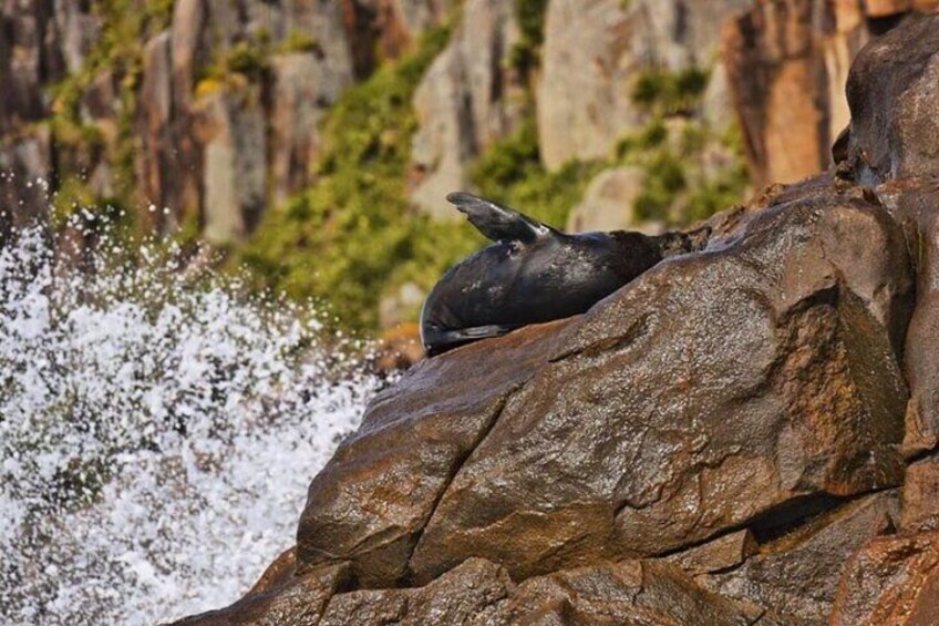  Private Port Stephens Winter Adventure from Newcastle