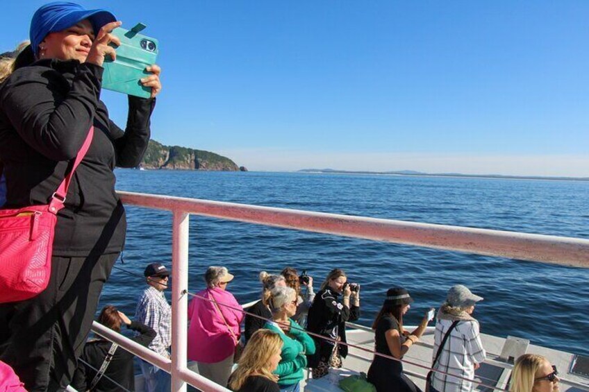  Private Port Stephens day tour from Newcastle - Whales!