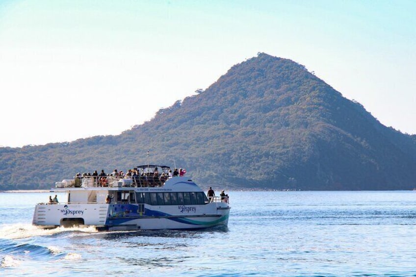 Private Port Stephens day tour from Newcastle - Whales!