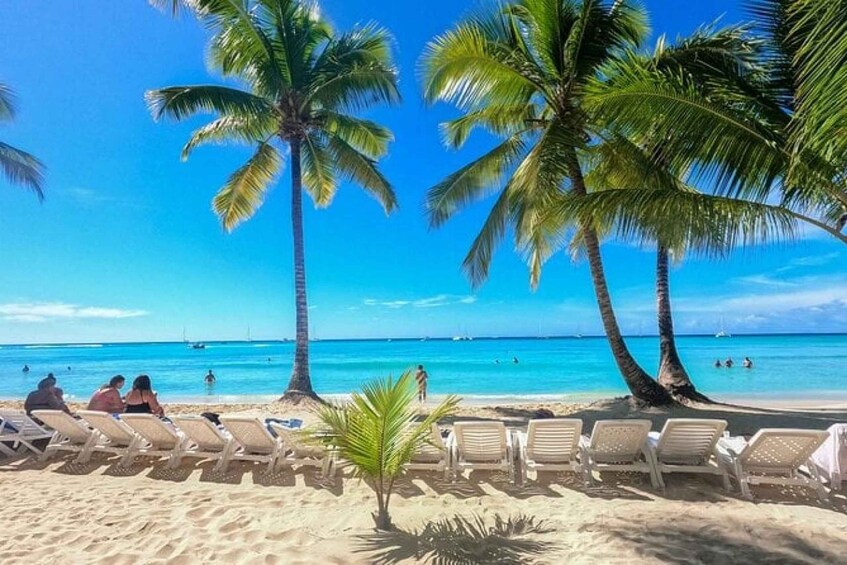 Picture 6 for Activity Saona Island: Catamaran tour to a Dream Beach, all inclusive