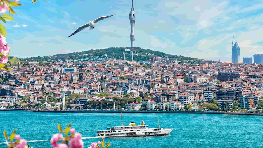 Istanbul: Camlica Tower Entry with Optional Dining Choices