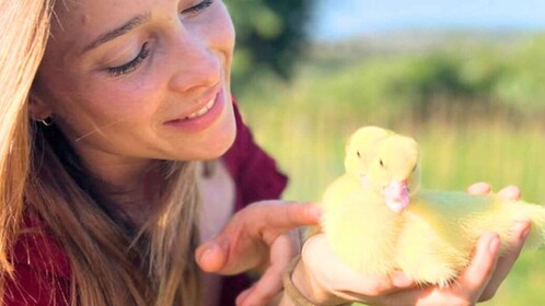 Gallura : Pique-nique sur une ferme avec des animaux