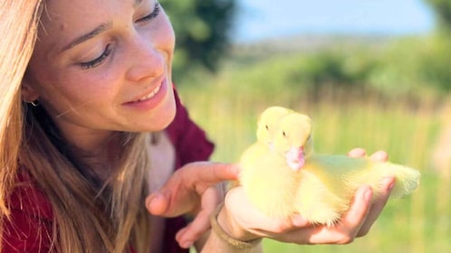 Gallura : Pique-nique sur une ferme avec des animaux