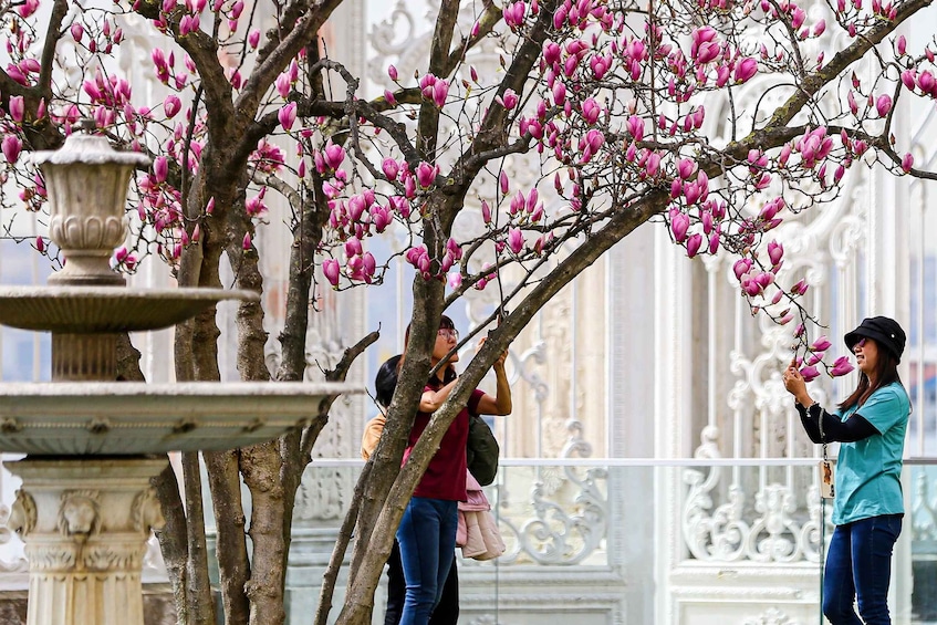 Picture 6 for Activity Dolmabahce Palace & Harem Fast-Track Entry with Audio Guide