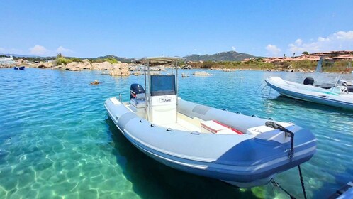 From Porto Rotondo: RIB tour of Porto Cervo's beaches