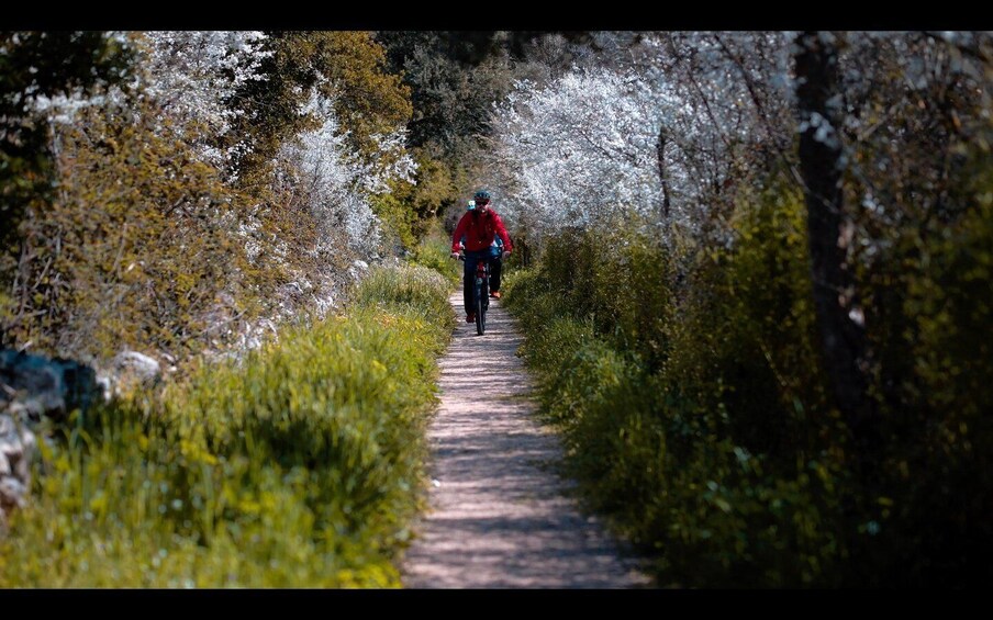 Picture 10 for Activity Old Railway: Premium E-Bike Tour Through an Enchanted Forest