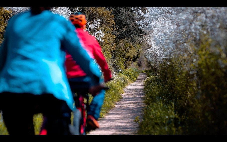 Picture 11 for Activity Old Railway: Premium E-Bike Tour Through an Enchanted Forest