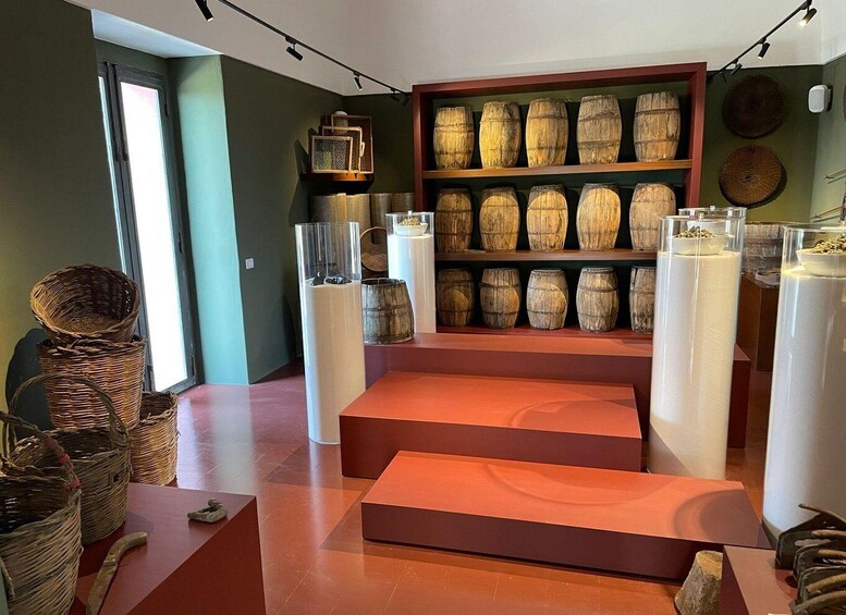 Picture 3 for Activity Pantelleria: Visit the Tastiest Museum Ever The Caper Museum