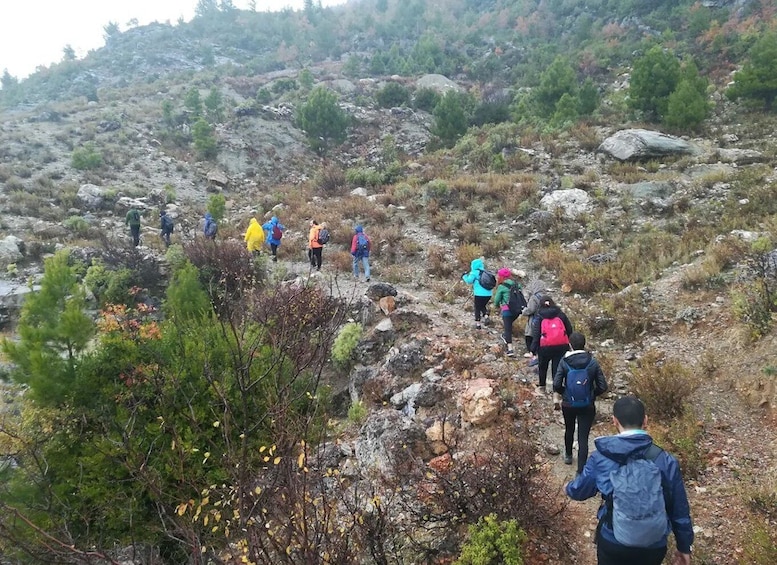 Picture 24 for Activity Alanya Hiking Tour