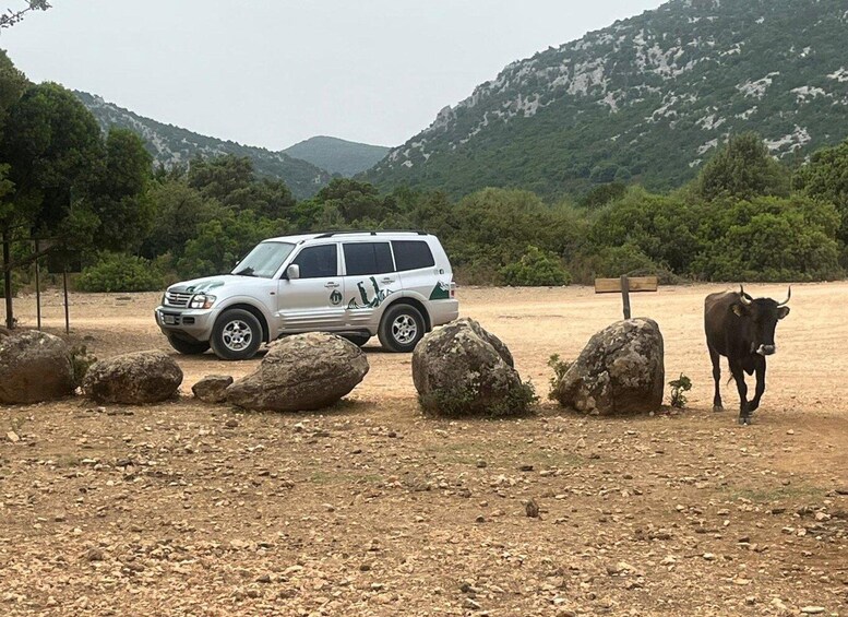 Picture 4 for Activity From Arbatax: Half day Jeep tour on Golgo Plateau