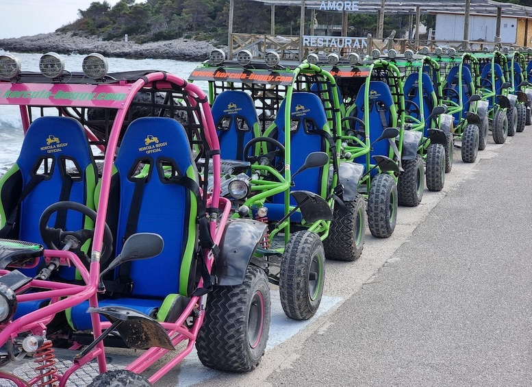 Picture 6 for Activity Korcula: Buggy Tour Including Local Food and Wine Tasting