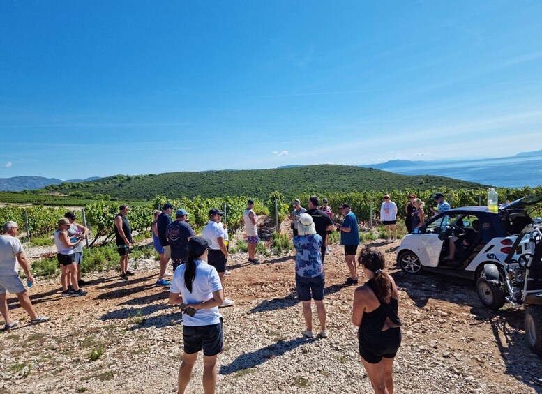 Picture 16 for Activity Korcula: Buggy Tour Including Local Food and Wine Tasting