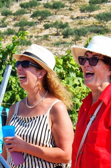 Picture 5 for Activity Korcula Buggy Tour Including our Local Food and Wine Tasting