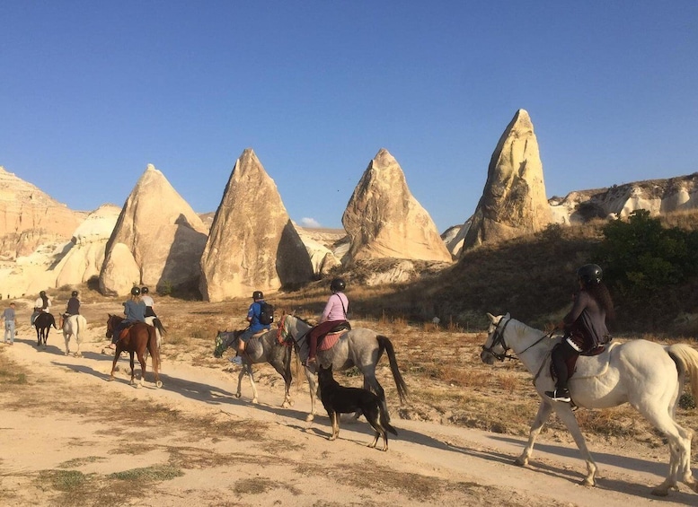 Picture 3 for Activity Horse back riding in Cappadocia