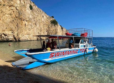 Krk: Golden Bay Beach Swimming Tour