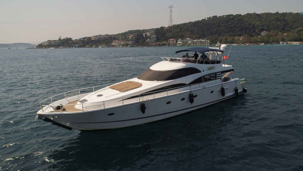 Picture 16 for Activity Bosphorus: Private Yacht Cruise