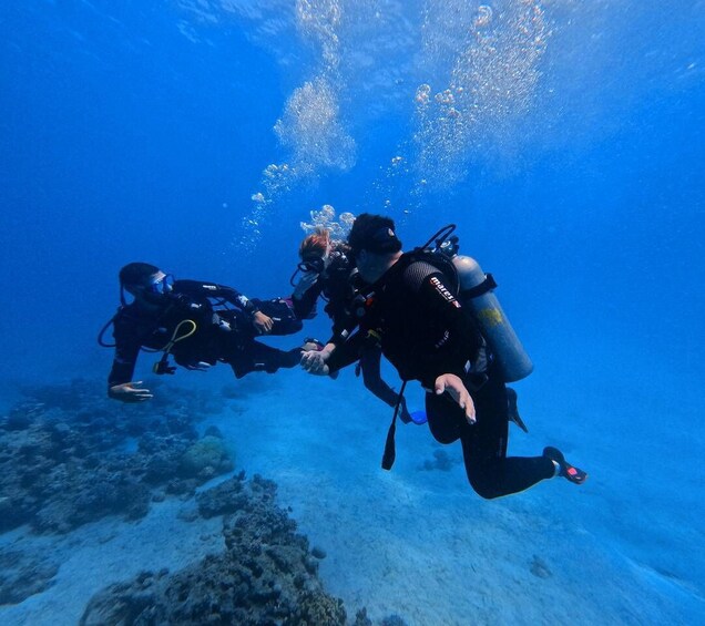 Picture 3 for Activity Chania | Try Scuba Diving | Private Introduction Dive