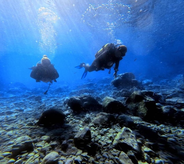 Picture 3 for Activity Chania | Try Scuba Diving | Private Introduction Dive