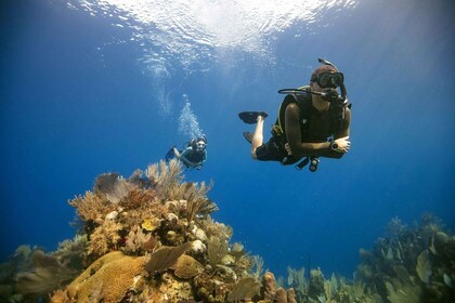 Ville de côté : Plongée sous-marine avec prise en charge, déjeuner et 2 plo...