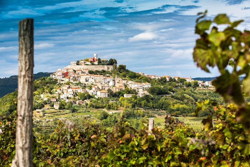 Picture 6 for Activity From Poreč: Mountain Učka, Opatija & Buzet, day trip