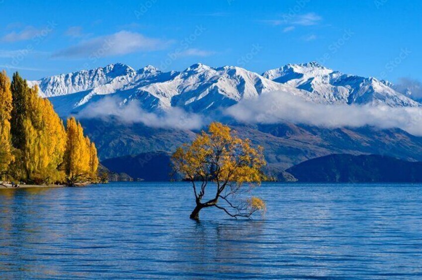 Queenstown to Franz Josef via Wanaka Small Group Tour