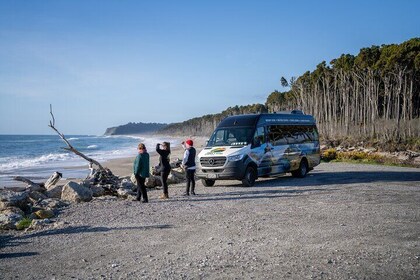 Franz Josef Small Group Tour from Queenstown via Wanaka