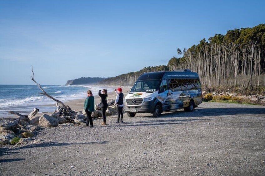 Franz Josef Small Group Tour from Queenstown via Wanaka