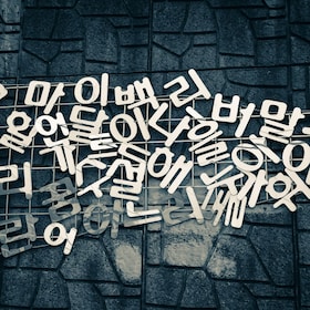 Eat local food and learning Korean in Seoul OR Jeonju