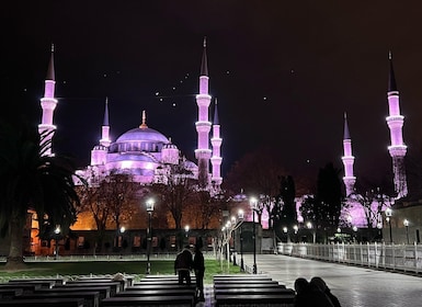 Línea Premium: tour privado por Estambul: paquete con todo incluido