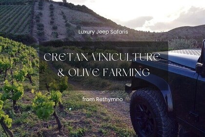 Rethymno Luxury Jeep Tour in Cretan Viniculture and Olive Farming