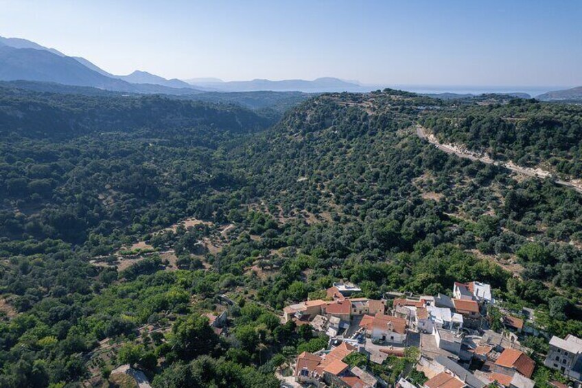 Rethymno Luxury Jeep Tour in Cretan Viniculture and Olive Farming