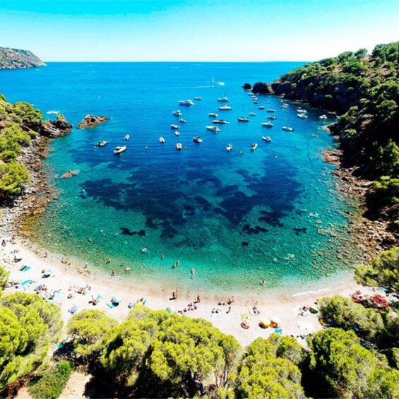 Picture 4 for Activity From Roses: Cap Norfeu and Tamariu Cave Boat Tour