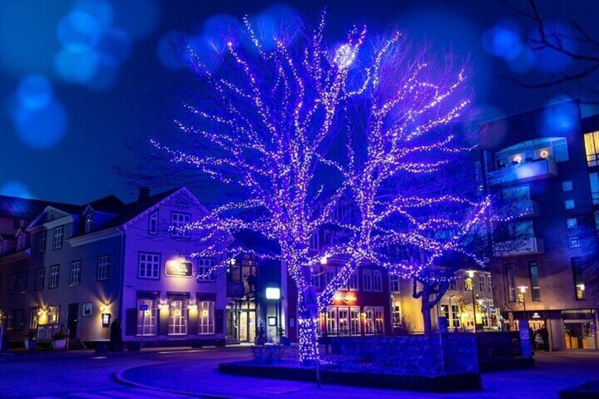 The Blue Christmas Tree at our starting point