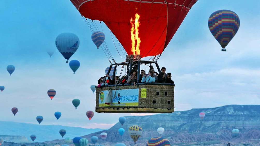 Picture 4 for Activity Skybound Serenity - Exclusive Balloon Watching Experience!