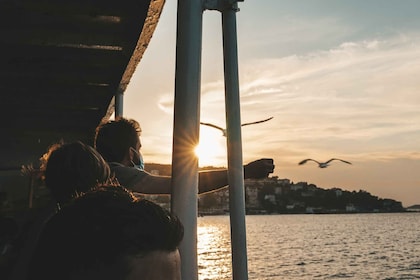 Istanbul : Îles des Princes croisière avec musique, déjeuner et transfert